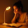 Ember Desk Lamp (amber)